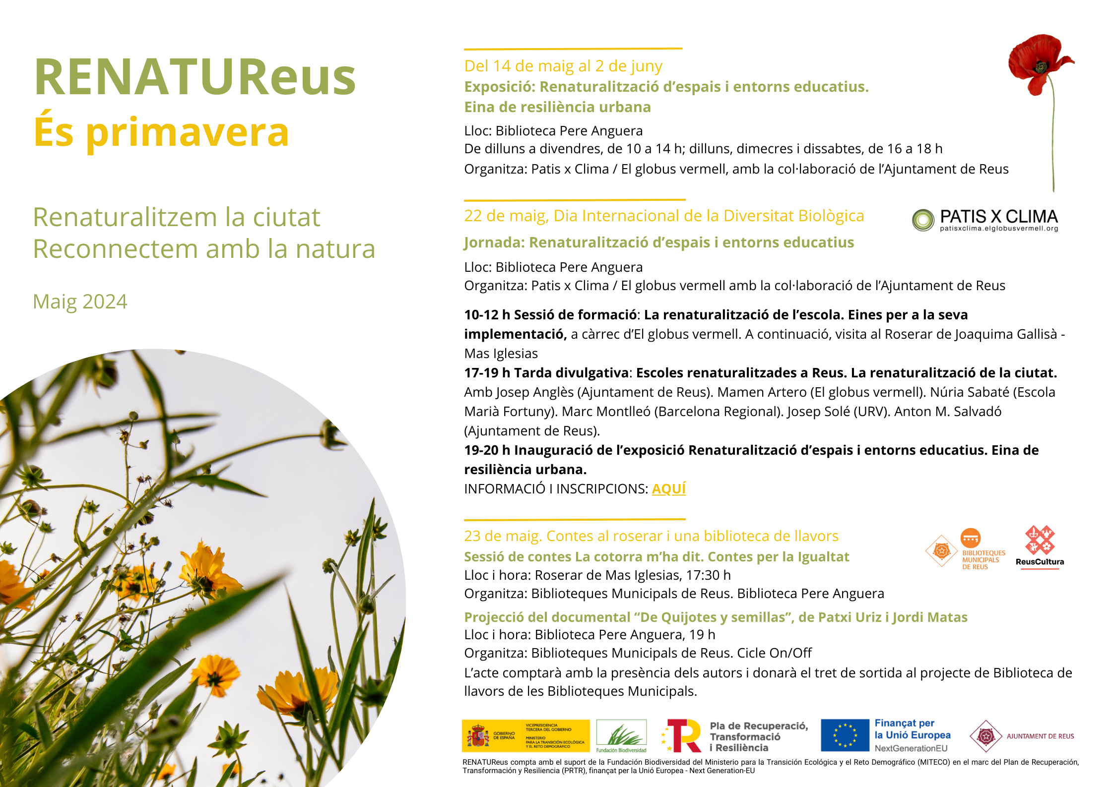 Exposició: Renaturalització d'espais i entorns educatius. Eina resiliència urbana